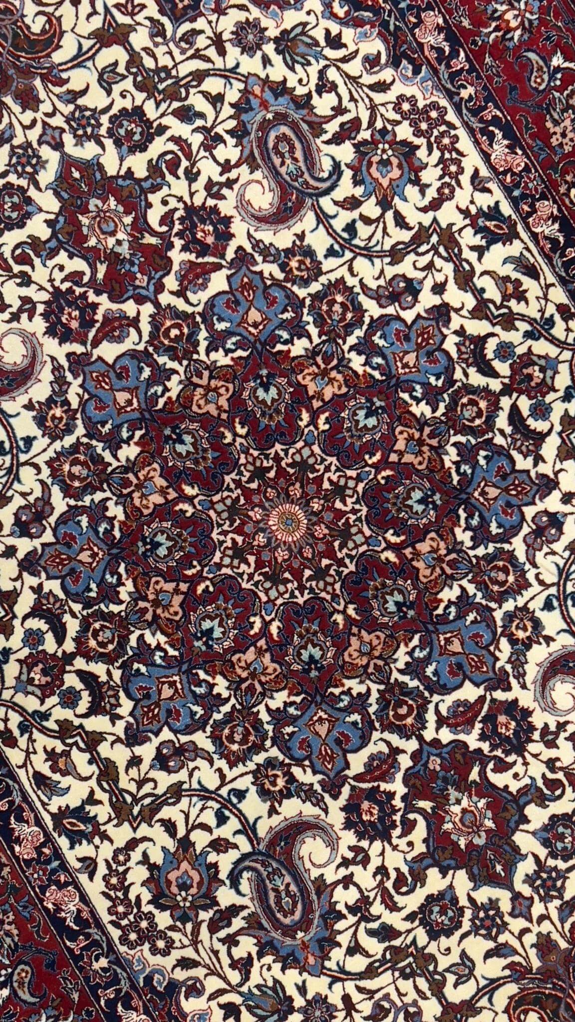 Seirafian area rug with intricate knotwork and a bold color contrast.
